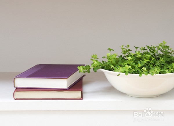 怎样快乐学作文（怎样让孩子爱上写作文）