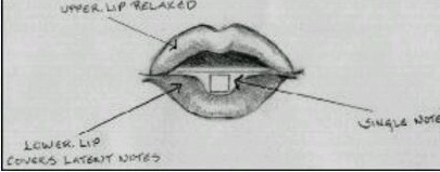 口琴舌头怎么放图解