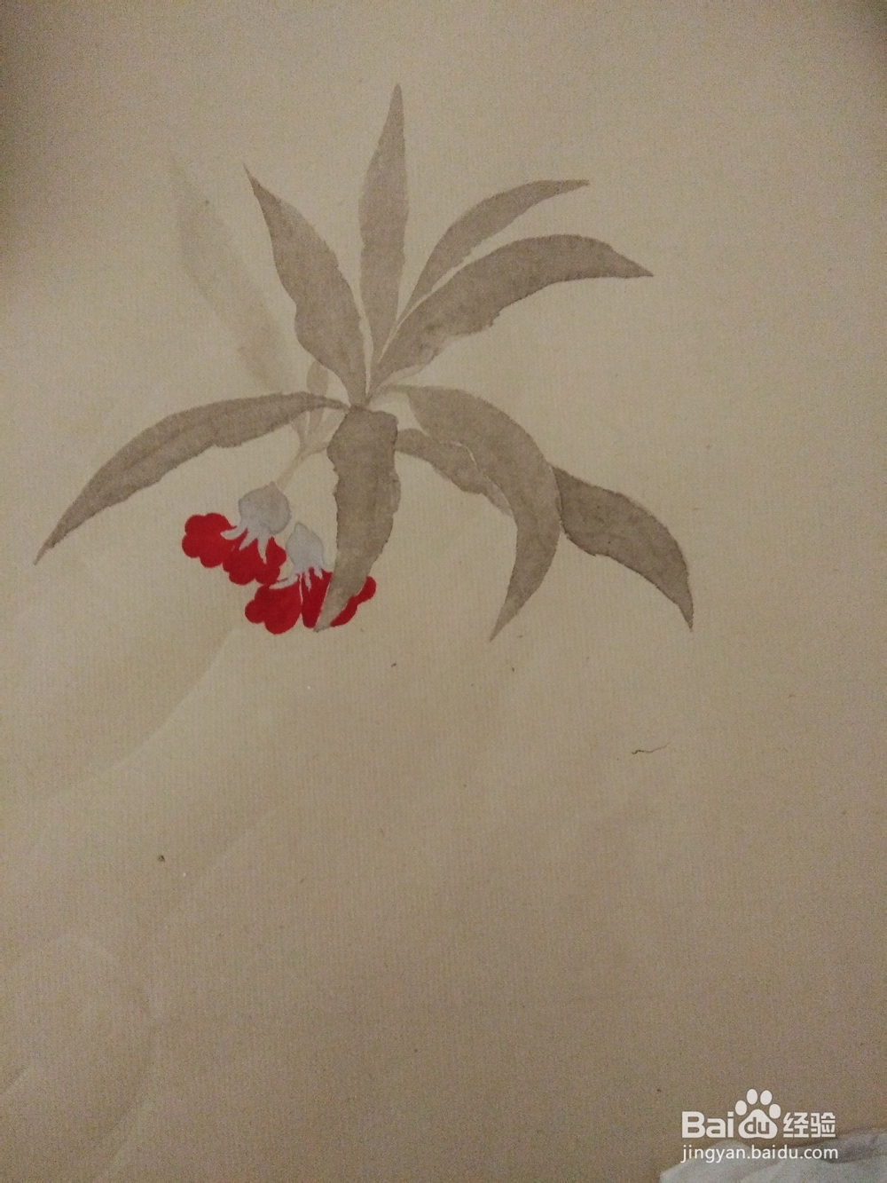 如何用没骨法画一株凤仙花