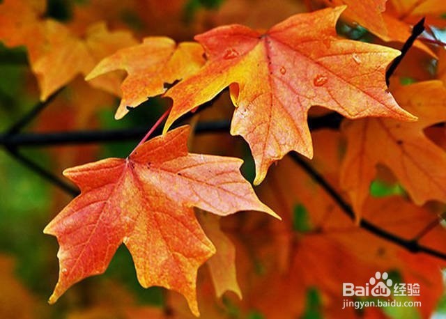 5个摄影小技巧，拍出碾压朋友圈的风光照！