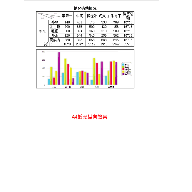 图表制作FineReport教程：[11]页面设置
