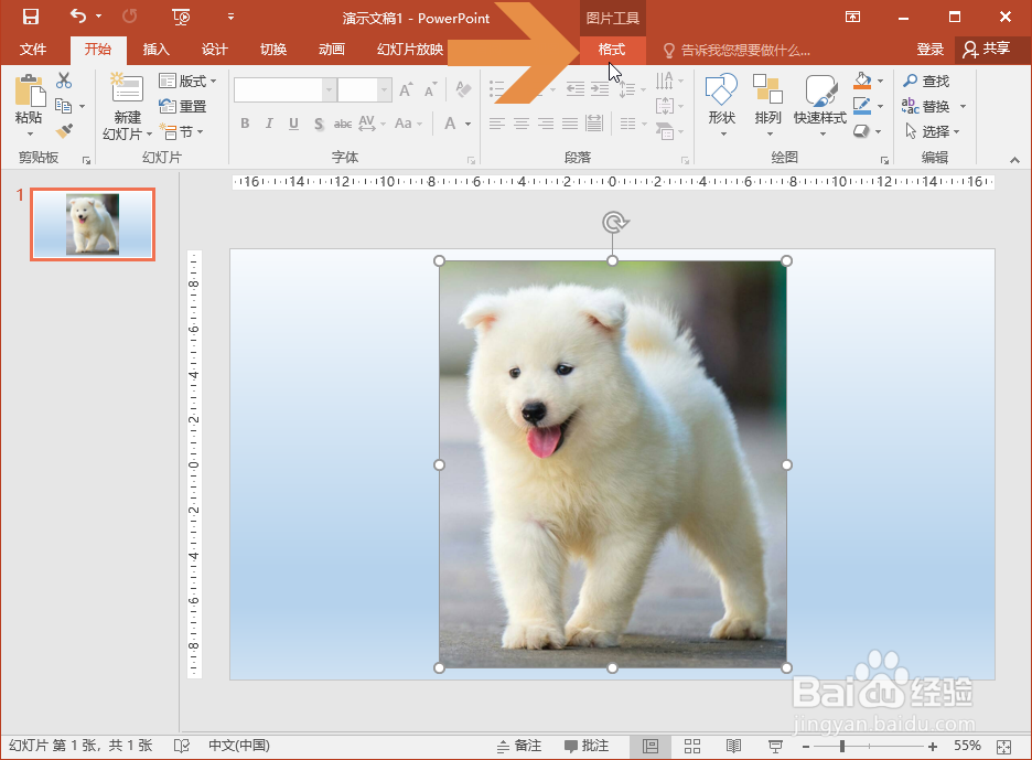 PowerPoint2016缩放图片时怎么让图片不变形