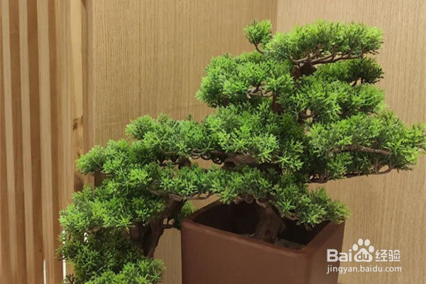 分享长沙男士养生会馆哪家比较好？专业的保健养生攻略推荐