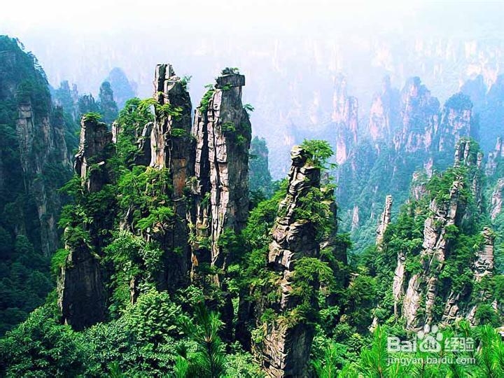 张家界稻草人俱乐部