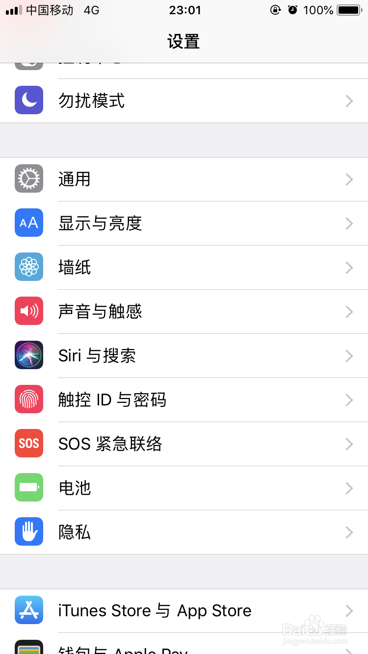 苹果手机怎么调出放大镜放大器功能