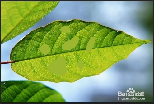 如何制作仿真水滴效果：[1]上