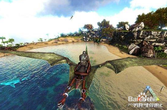 方舟手游风神翼龙刷新点