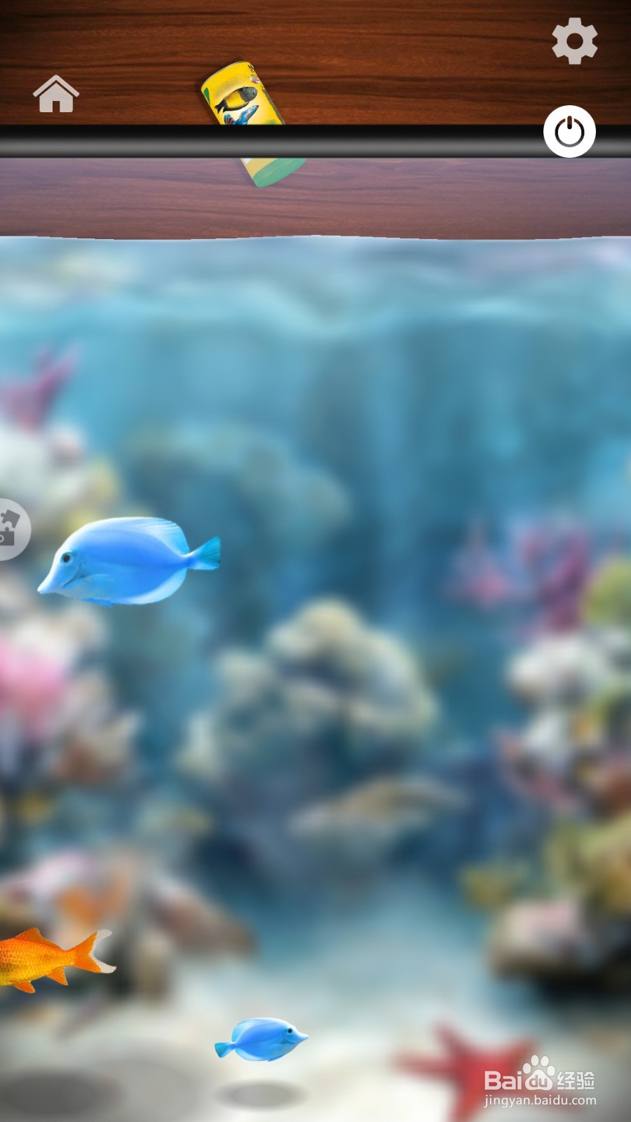 消林传说如何玩水族箱？