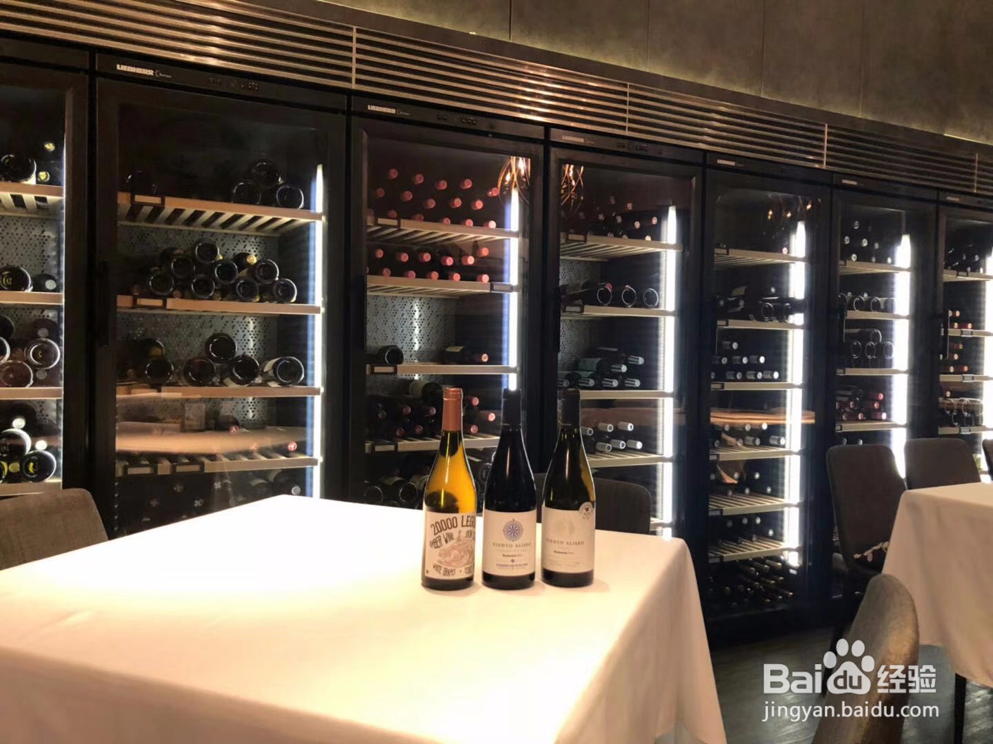 西班牙龙腾堡有机与生物动力酒庄