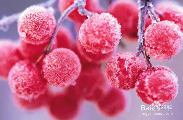 如何正确存放冰箱中的食物