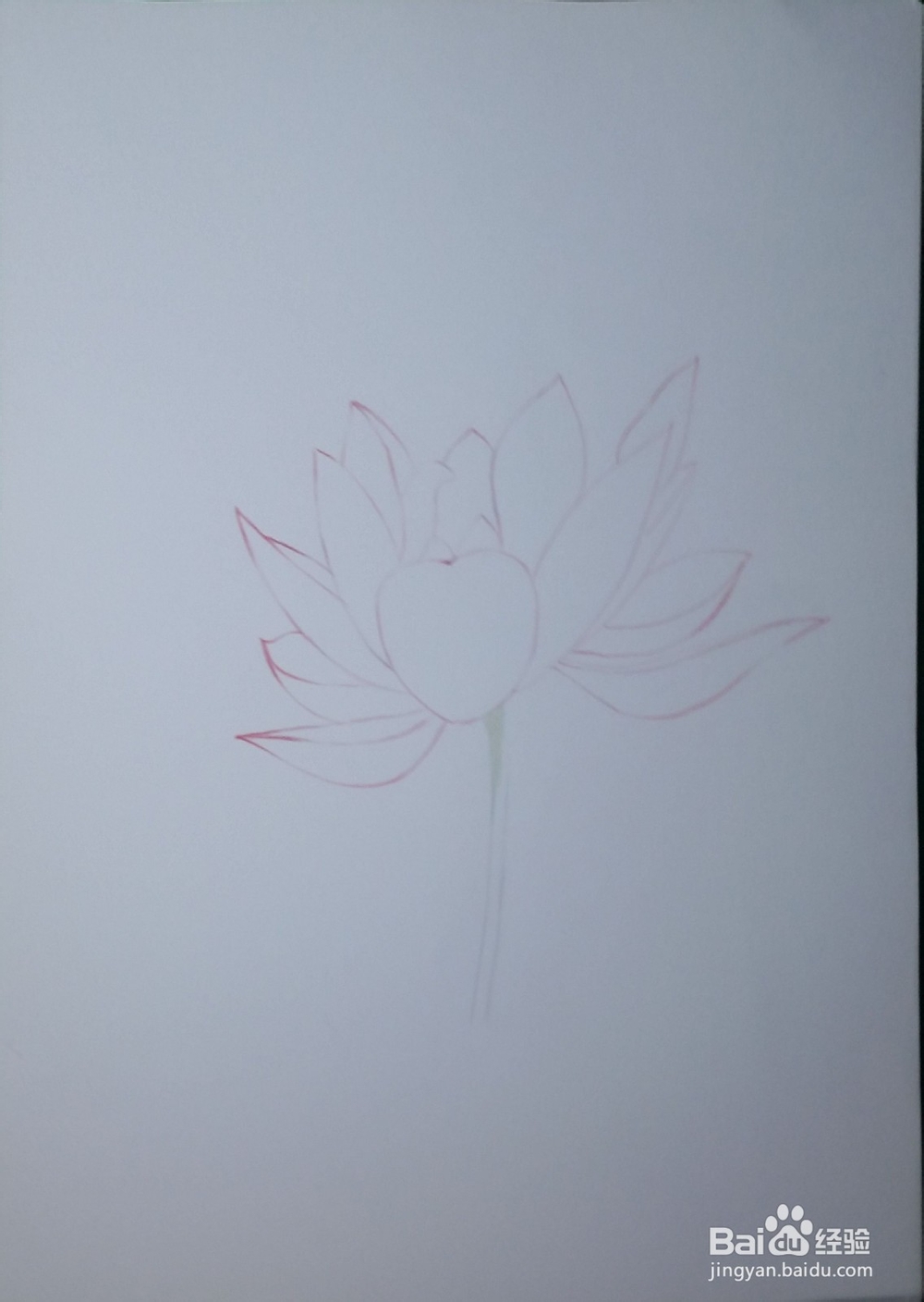 第一次画彩铅——荷花