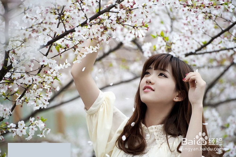 春节旅游注意事项