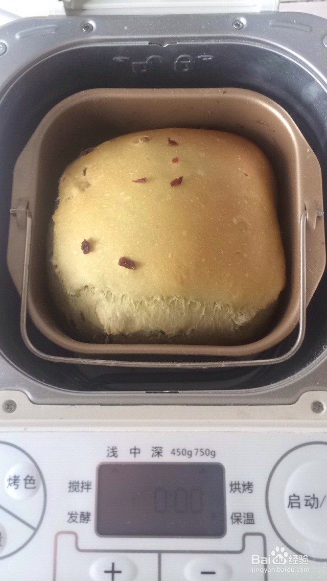 抹茶蔓越莓吐司的做法