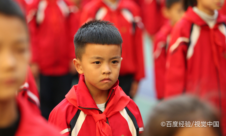 加入少先队应该怎么做