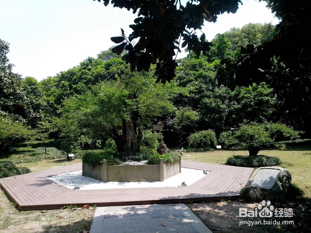 假期旅游之浙江超山风景区