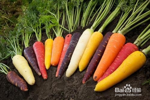 如何正确储存蔬菜