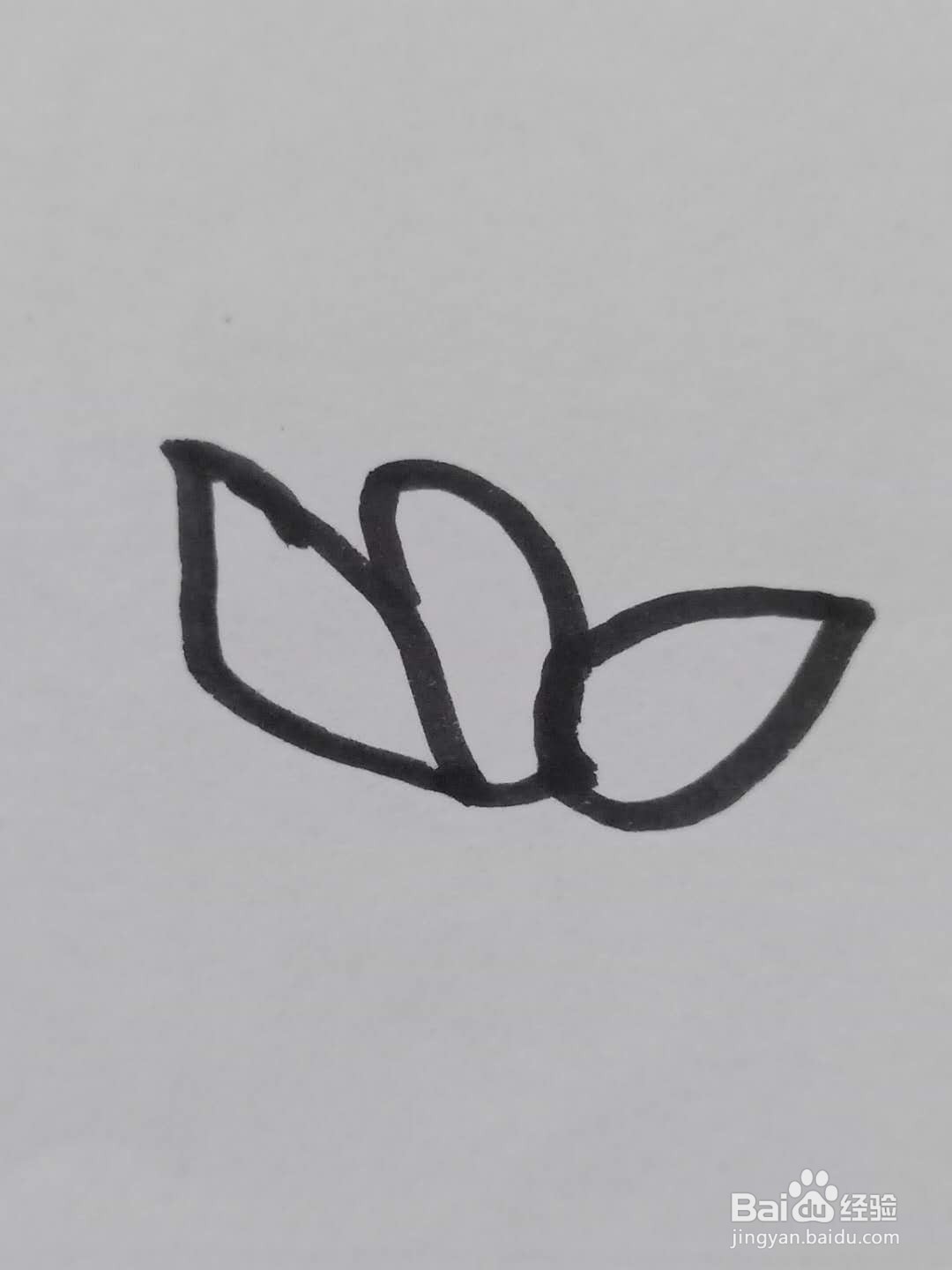 怎样画荷花