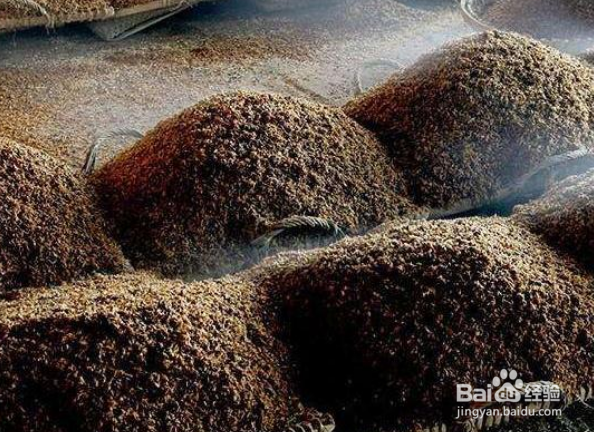 酒苦是什么原因