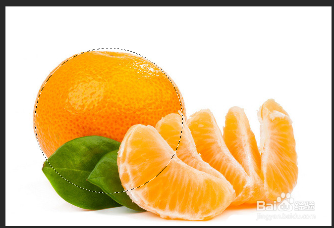 PS中选区的调整