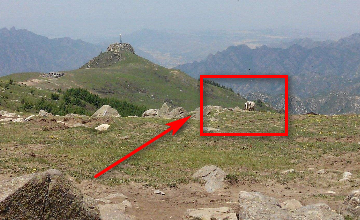 好山好水看不足？