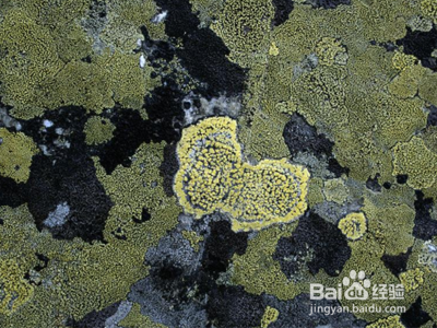 废水一体化水处理设备