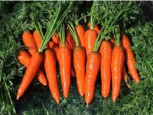 7种美白蔬菜大搜罗