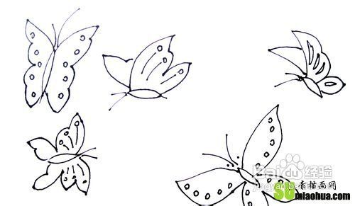 蝴蝶的画法有哪些