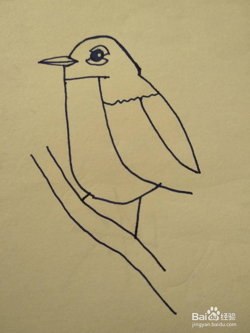 小鸟的简笔画怎么画？