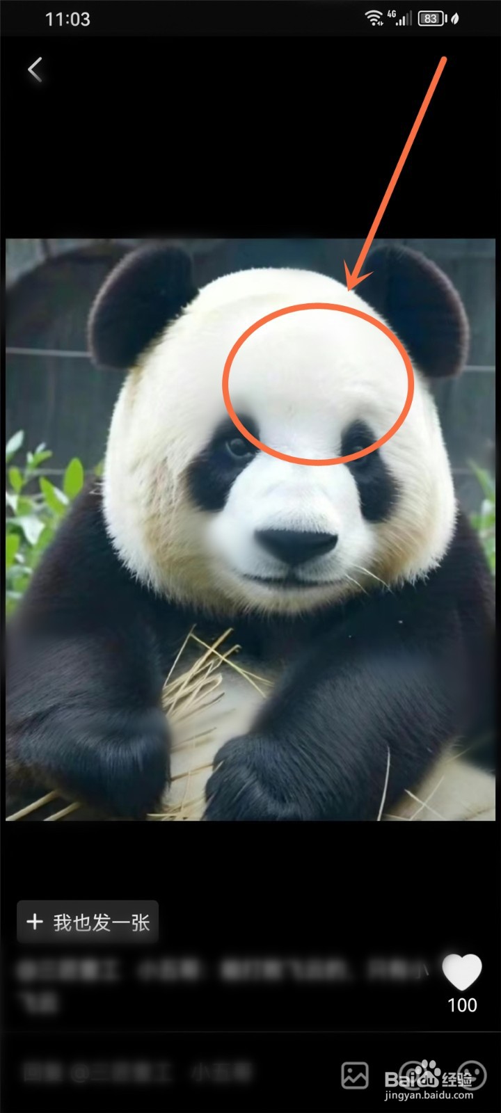 抖音极速版评论图片怎么保存