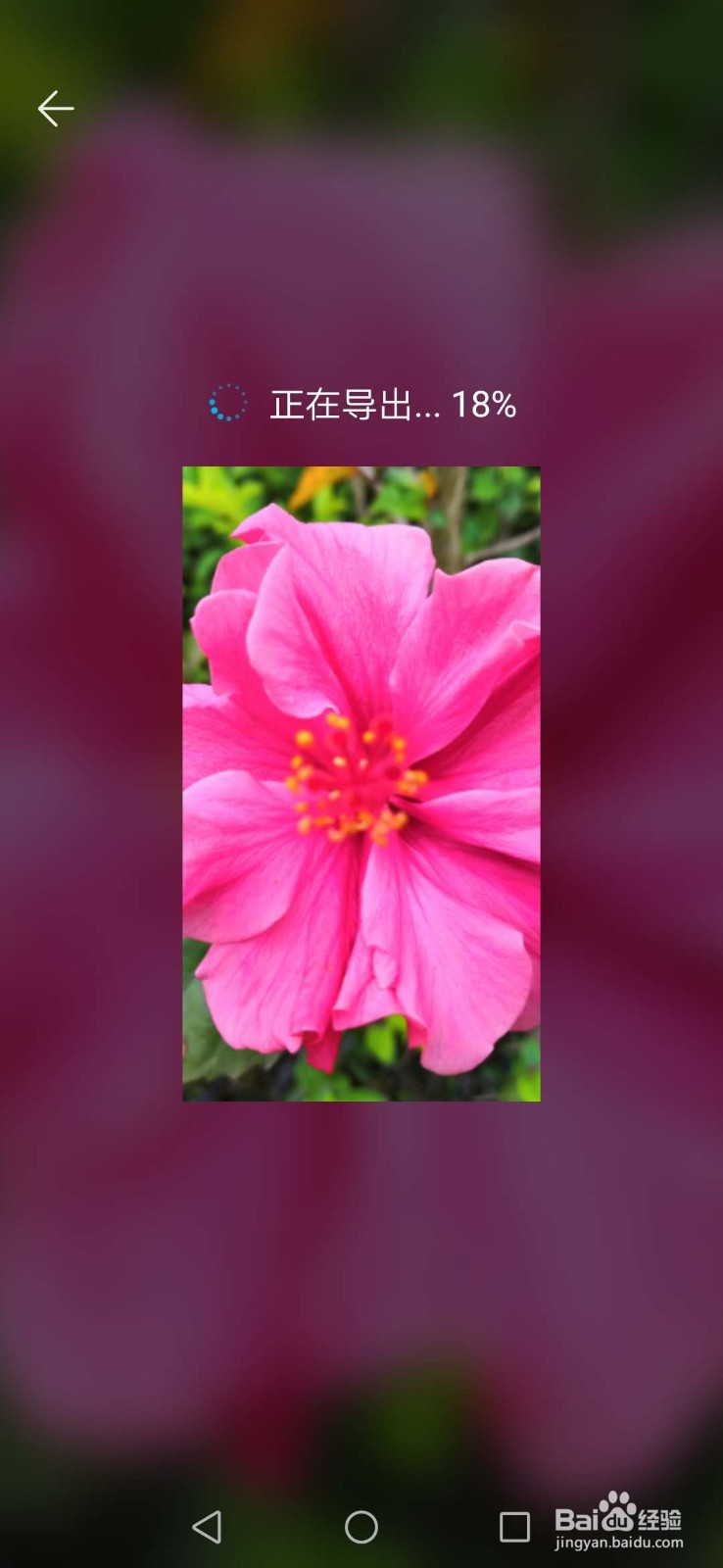 如何用手机自带的功能制作图片视频呢