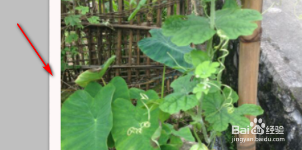 ps如何把图片边缘延伸