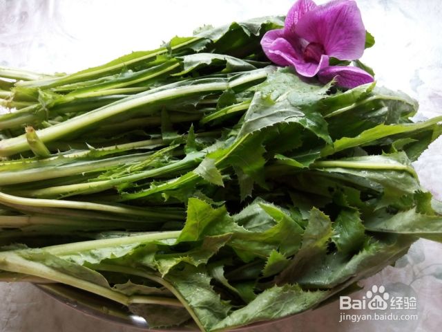 曲麻菜凉拌的做法