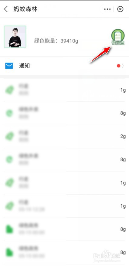 蚂蚁森林往年碳减排量怎么看