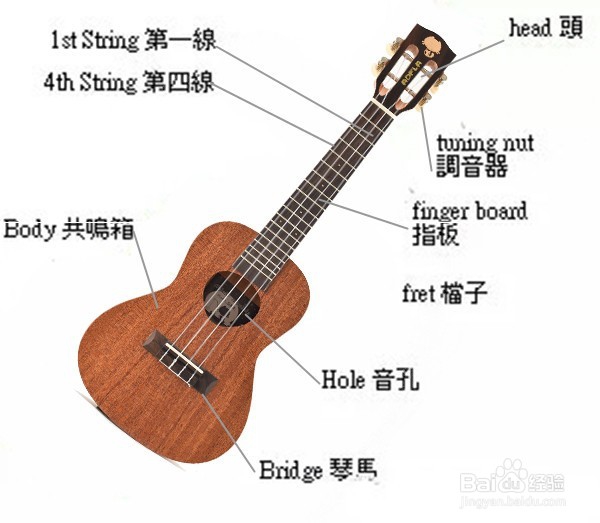 从零开始,十分钟教你学弹ukulele