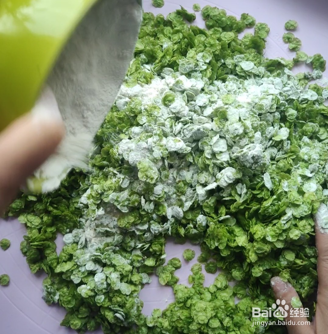 阳春三月的美食~蒸榆钱