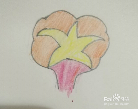 简笔画牵牛花怎么画？