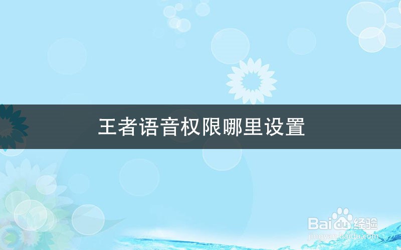 王者语音权限哪里设置