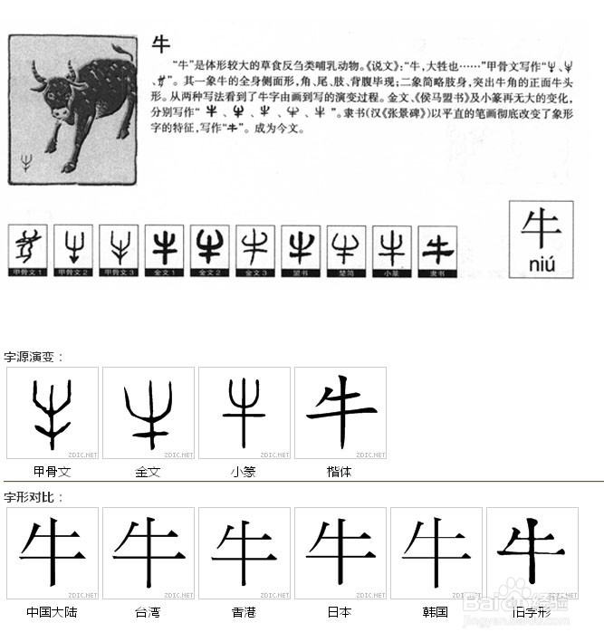 牛字的演变过程图解