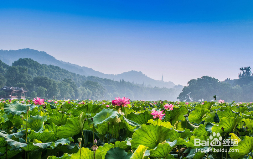杭州一日游最佳攻略