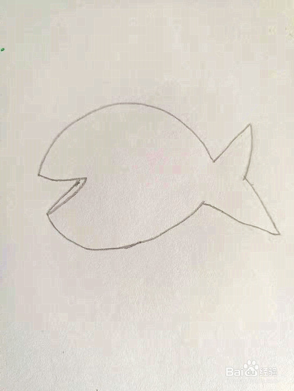 幼儿园简笔画教程：小鱼