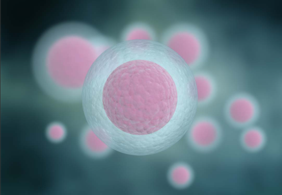 细胞生物学与医学有何关系医学生为何要学习细胞生物学