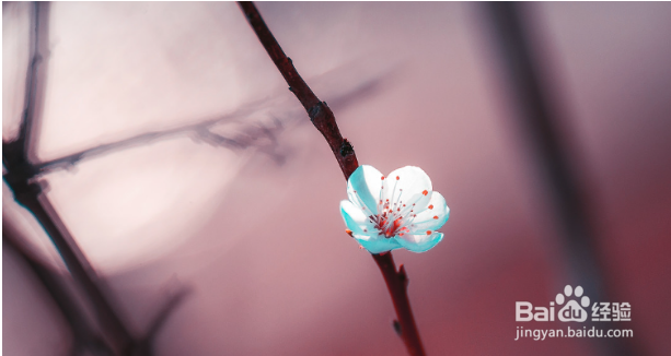 朋友被辞退了，怎么安慰她