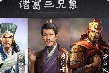 诸葛瑾是诸葛亮的什么关系