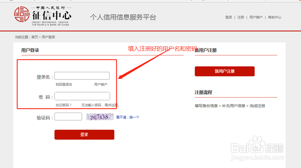 如何在网上查询个人征信并下载个人征信报告