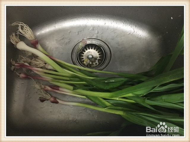 青蒜回锅肉片的做法