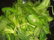 香肠炒菠菜的做法