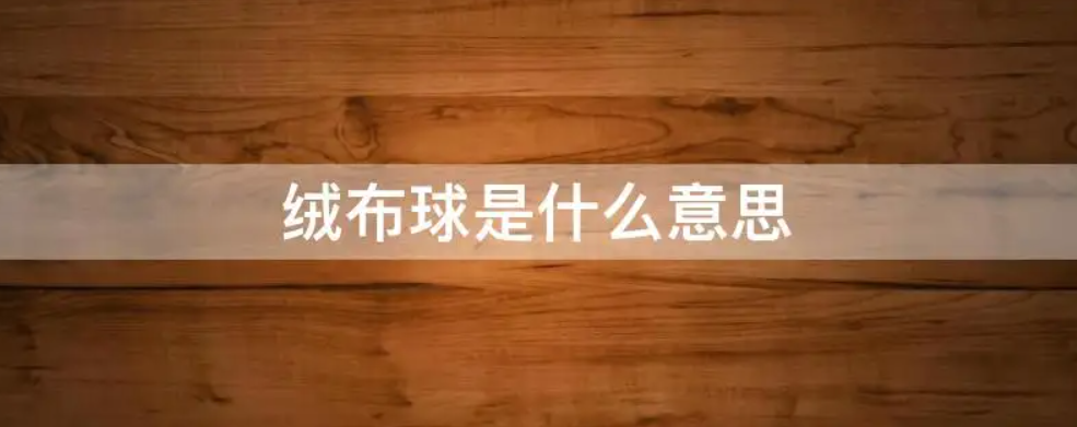 绒布球指的是什么梗