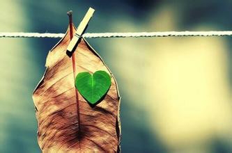 家有磨人老人怎么办