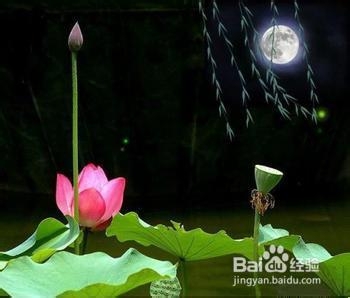 普洱有哪些有益微量元素