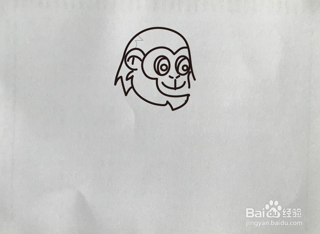 【简笔画】白臀叶猴的画法